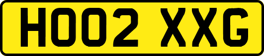HO02XXG