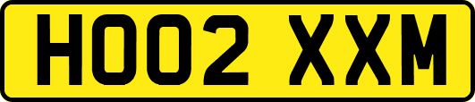 HO02XXM