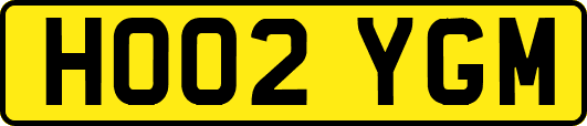 HO02YGM