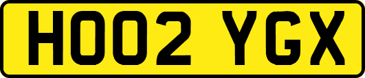 HO02YGX