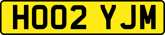 HO02YJM