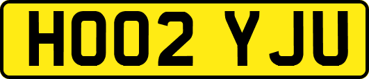 HO02YJU