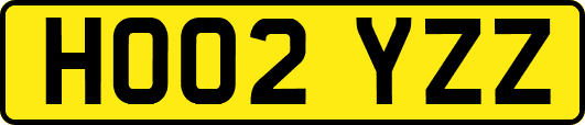HO02YZZ