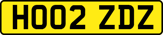 HO02ZDZ