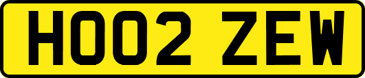 HO02ZEW