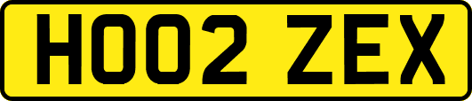 HO02ZEX