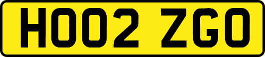 HO02ZGO