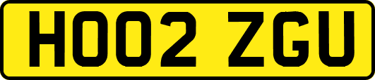 HO02ZGU