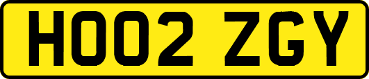 HO02ZGY