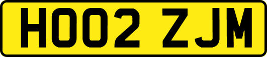 HO02ZJM