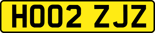 HO02ZJZ