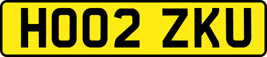 HO02ZKU