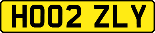 HO02ZLY