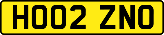 HO02ZNO