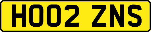 HO02ZNS