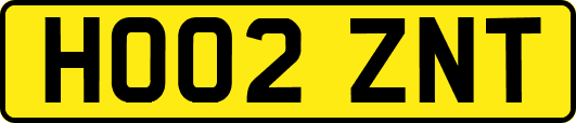 HO02ZNT