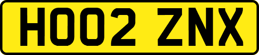 HO02ZNX