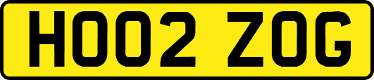 HO02ZOG