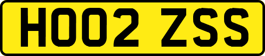 HO02ZSS