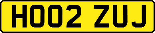 HO02ZUJ