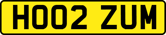 HO02ZUM
