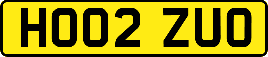 HO02ZUO