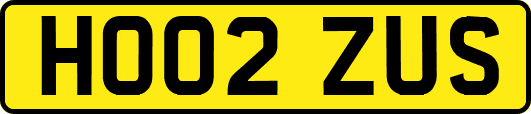 HO02ZUS