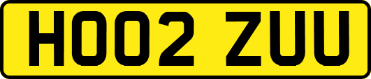 HO02ZUU