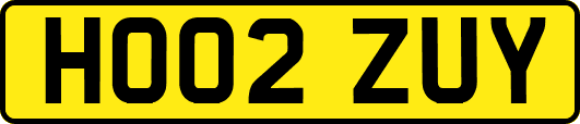 HO02ZUY
