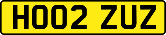 HO02ZUZ