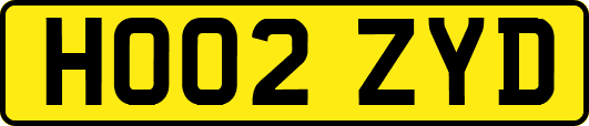 HO02ZYD