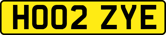 HO02ZYE