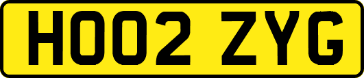 HO02ZYG