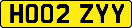 HO02ZYY