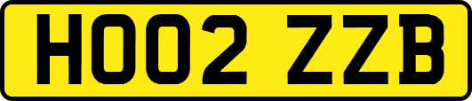 HO02ZZB