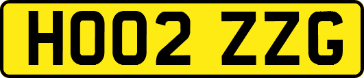 HO02ZZG