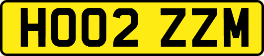 HO02ZZM