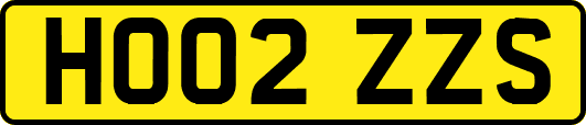 HO02ZZS