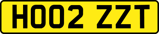 HO02ZZT