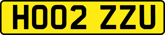 HO02ZZU