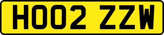 HO02ZZW