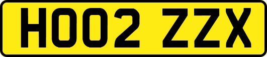 HO02ZZX