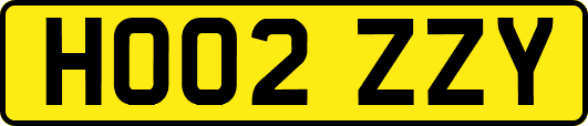 HO02ZZY