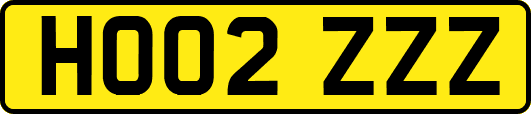 HO02ZZZ