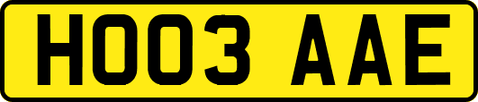 HO03AAE