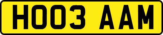 HO03AAM