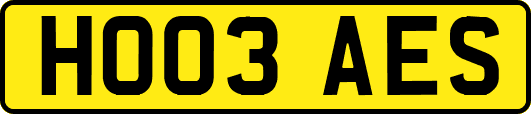 HO03AES
