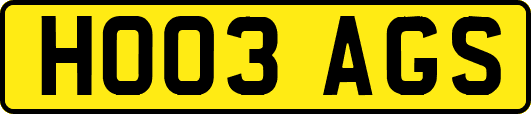 HO03AGS