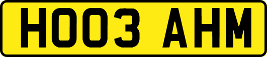 HO03AHM