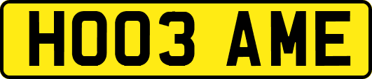 HO03AME